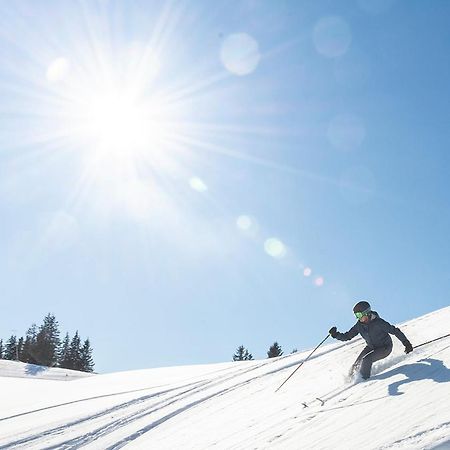 Wellness Pension Iveta Žacléř Eksteriør bilde
