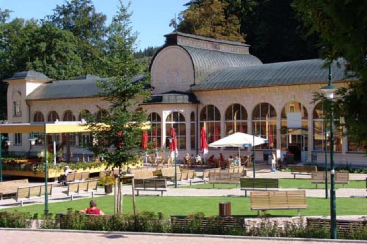 Wellness Pension Iveta Žacléř Eksteriør bilde